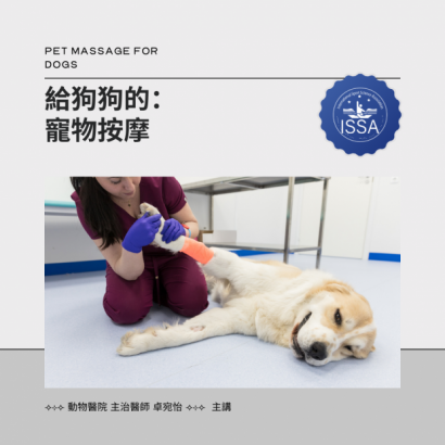 給狗狗的寵物按摩