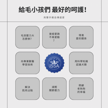 給狗狗的寵物按摩