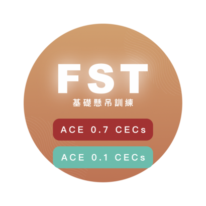 FST懸吊系統.png